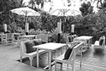 Catering Service